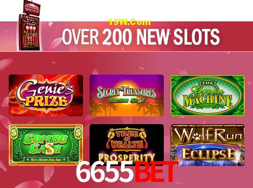 Sports Statistics 6655Bet